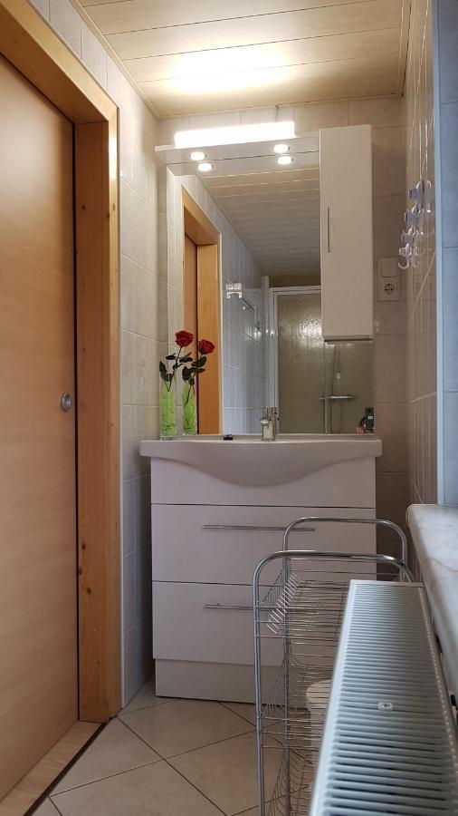 Ferienwohnung Berndt Oberweißbach 外观 照片