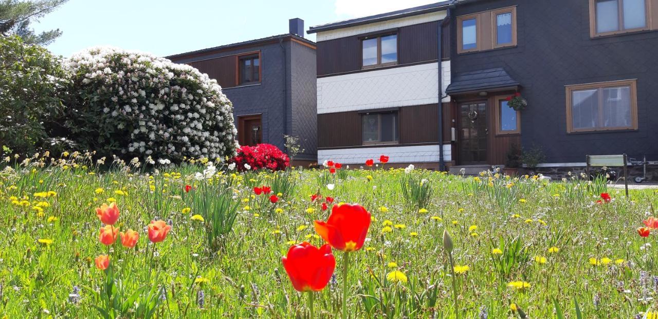 Ferienwohnung Berndt Oberweißbach 外观 照片