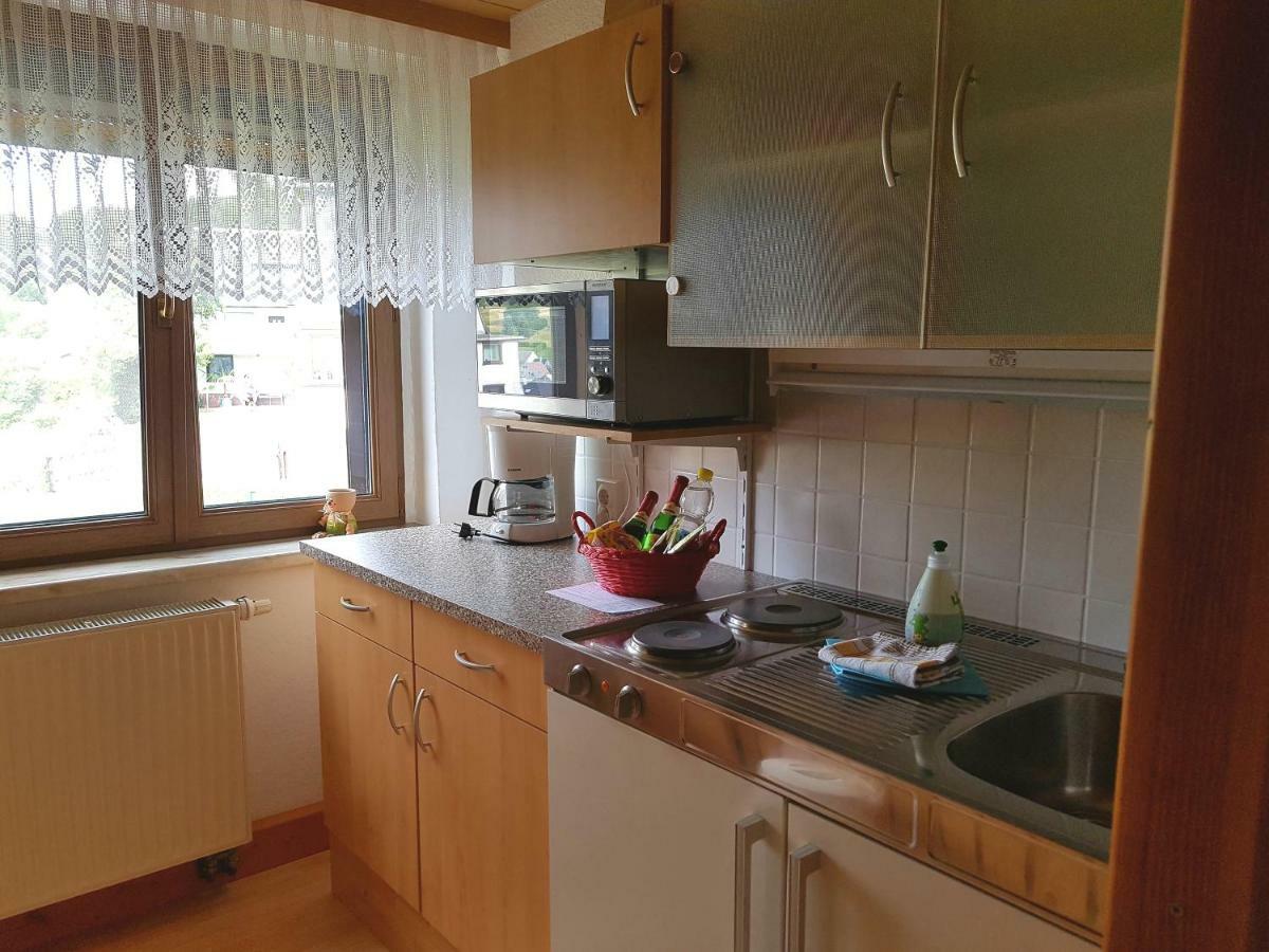Ferienwohnung Berndt Oberweißbach 外观 照片